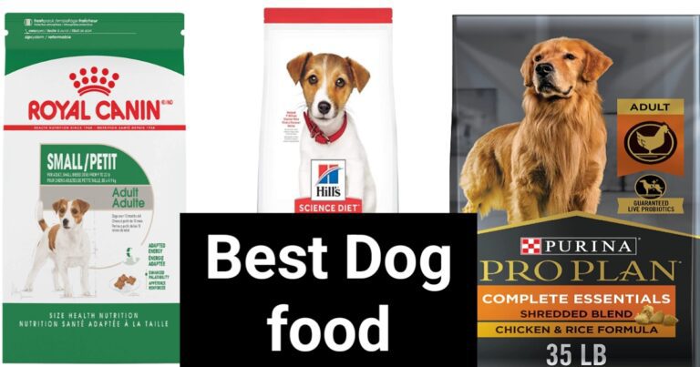 Best brand dry dog food