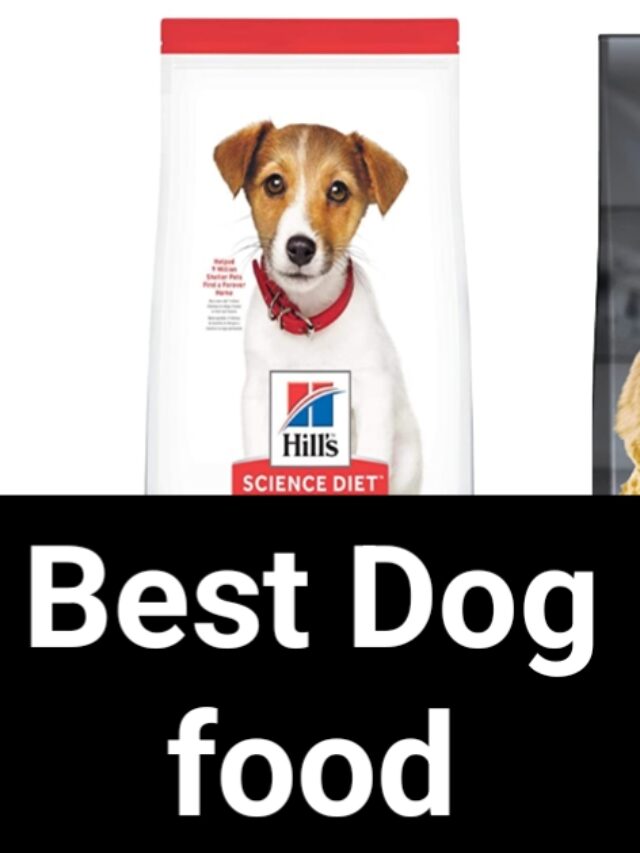 Best brand dry dog food